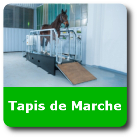 tapis_de_marche_pour_chevaux marcheur pour chevaux